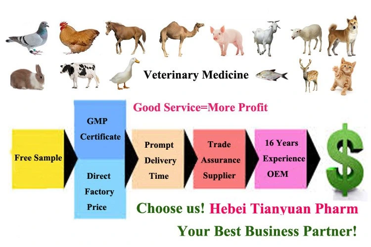 Veterinary Medicine Parasite Drugs for Livestock Cattle Pigsheep Ivermectin Injection