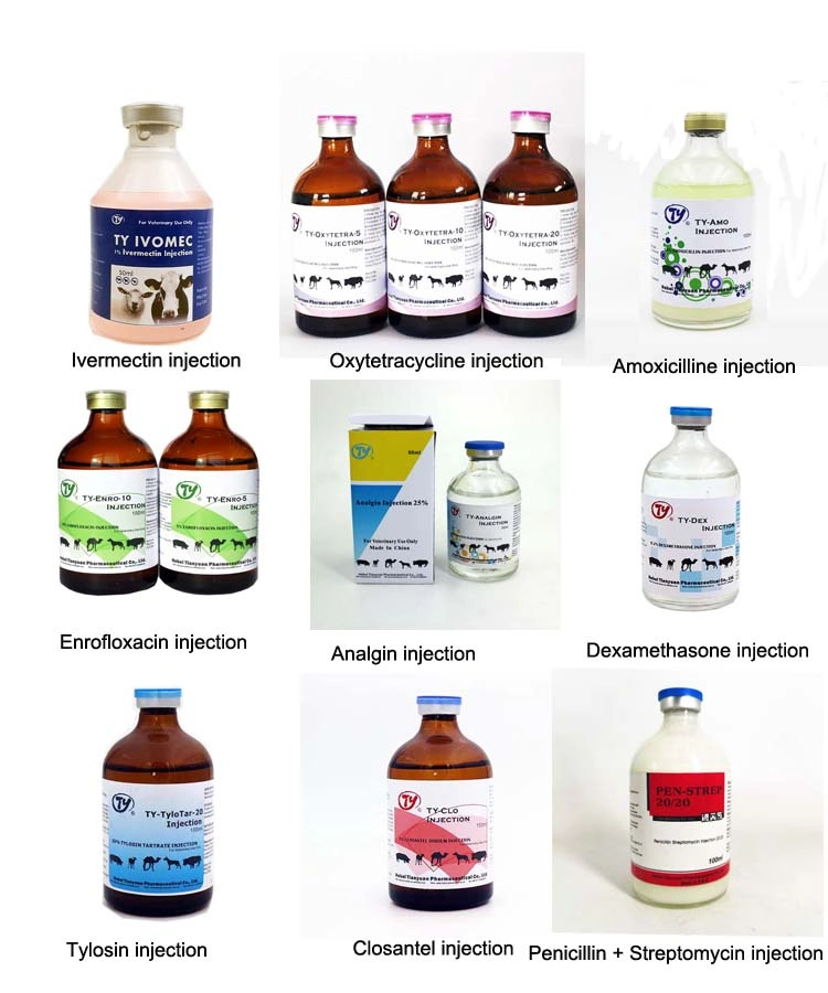 China Compound Antiparasitic Medicine Albendazole Tablet Veterinary Medicine Drug for Camels Cattle Sheep Goats Horses Poultry Use