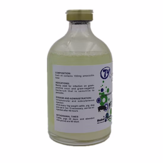 Amoxicillina Iniezione 15% GMP Fabbrica Antibatterici Farmaci veterinari per bestiame Animale Bovino Maiale Cane e gatto