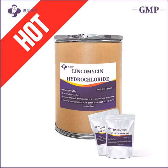 GMP Produzione antibiotici farmaceutici API CAS 1403